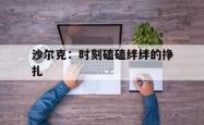 开云APP-关于沙尔克：时刻磕磕绊绊的挣扎的信息