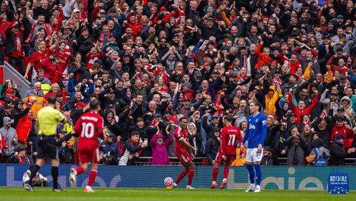 水晶宫战平利物浦,保级压力有所减轻 水晶宫战平利物浦,保级压力有所减轻