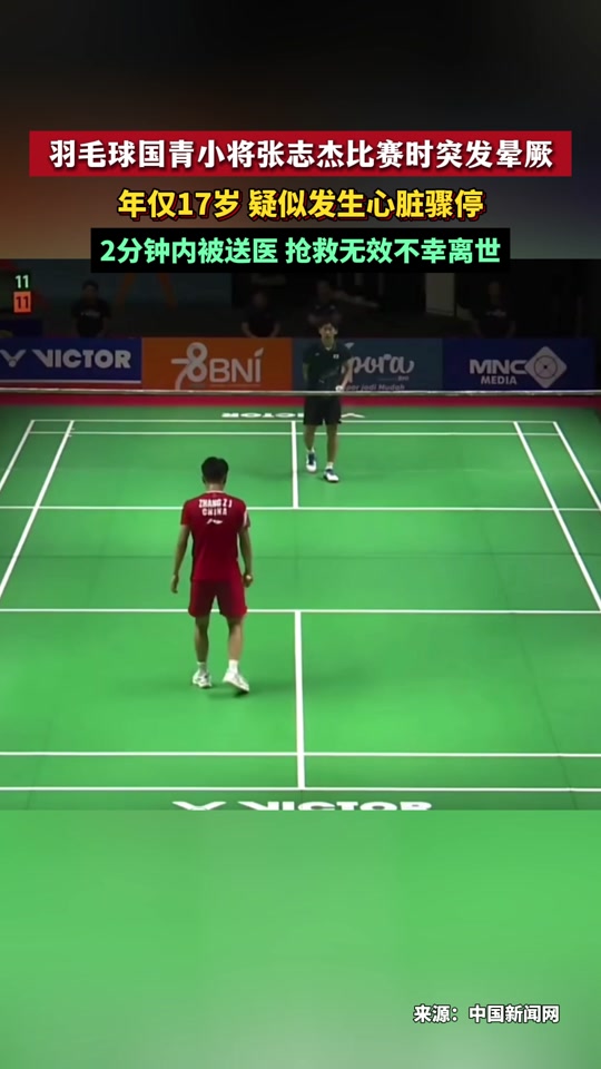 印尼羽毛球队鏖战中国羽毛球队,谌龙打破历史纪录的简单介绍 印尼羽毛球队鏖战中国羽毛球队,谌龙打破历史纪录的简单介绍