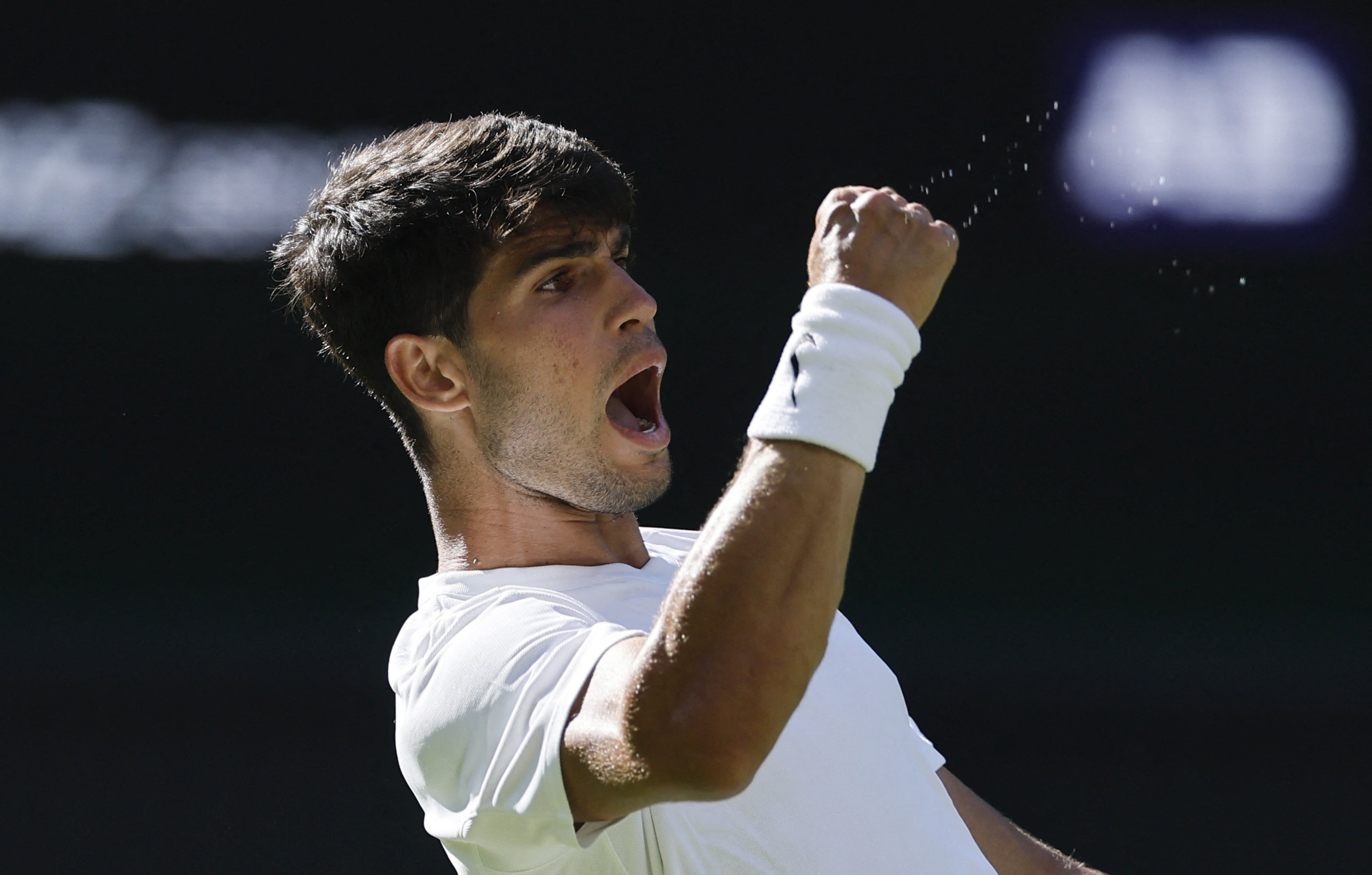 美网鏖战温网，阿尔卡拉斯高光表现的简单介绍